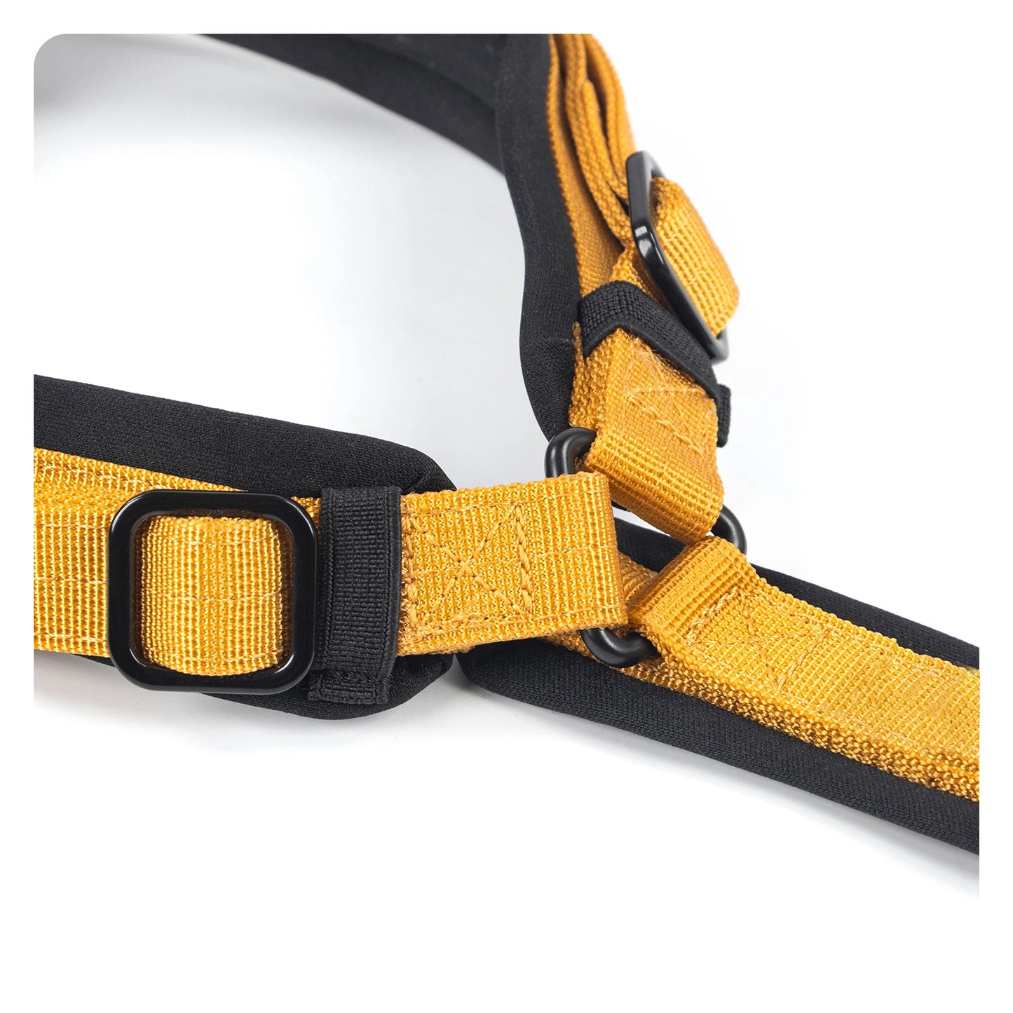 Arnés TRACKER para Perros – Antitirones y Acolchado ITB PETS
