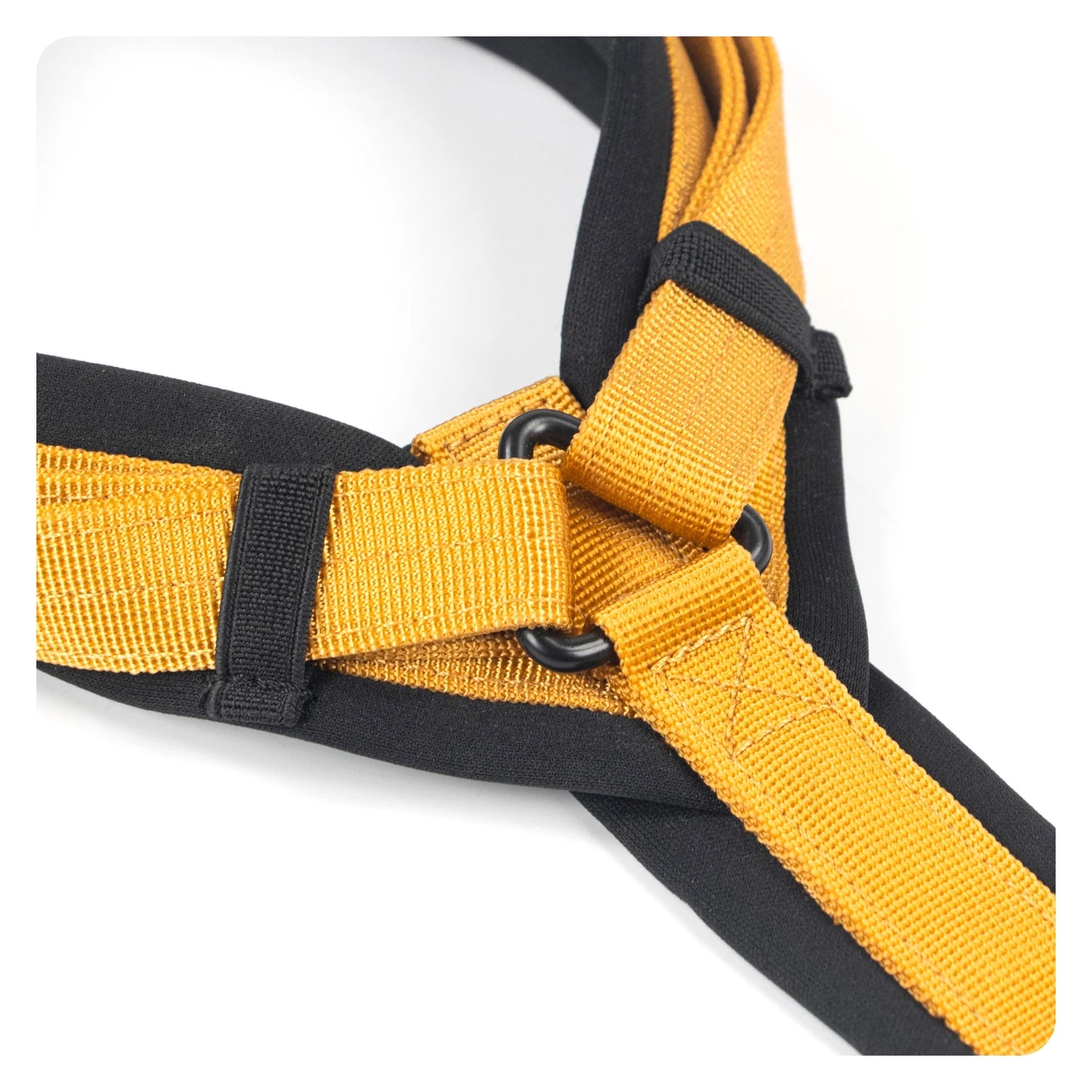 Arnés TRACKER para Perros – Antitirones y Acolchado ITB PETS