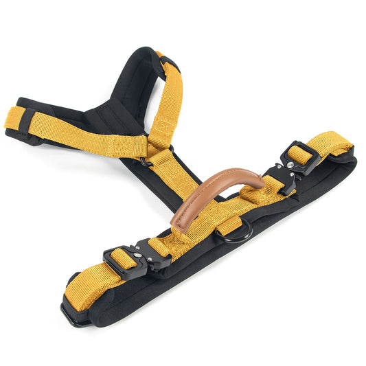 Arnés TRACKER para Perros – Antitirones y Acolchado ITB PETS